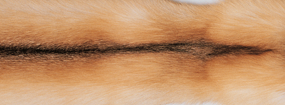 Plaid | Kashmir, rev | 130x200 cm