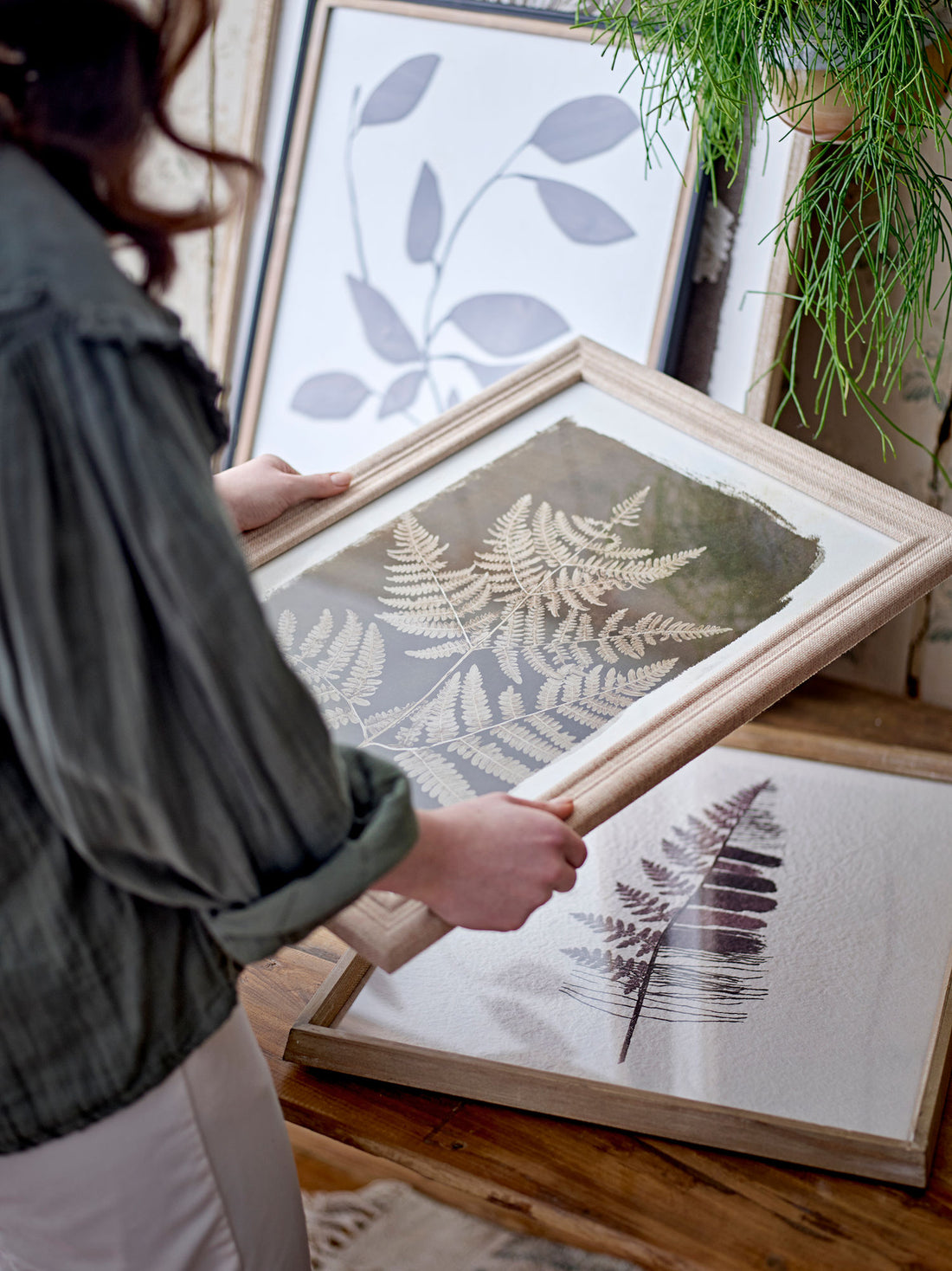 Kreativ samling korval illustrasjon med ramme, natur, furu