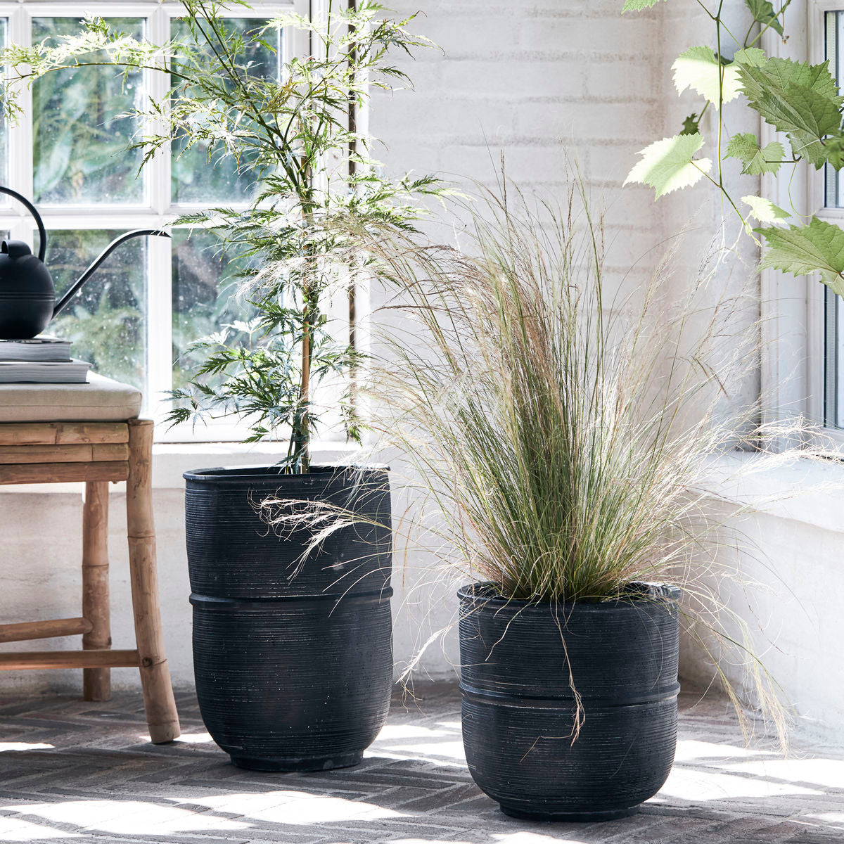 Husets lege - Urtegryte, Hdground, betong