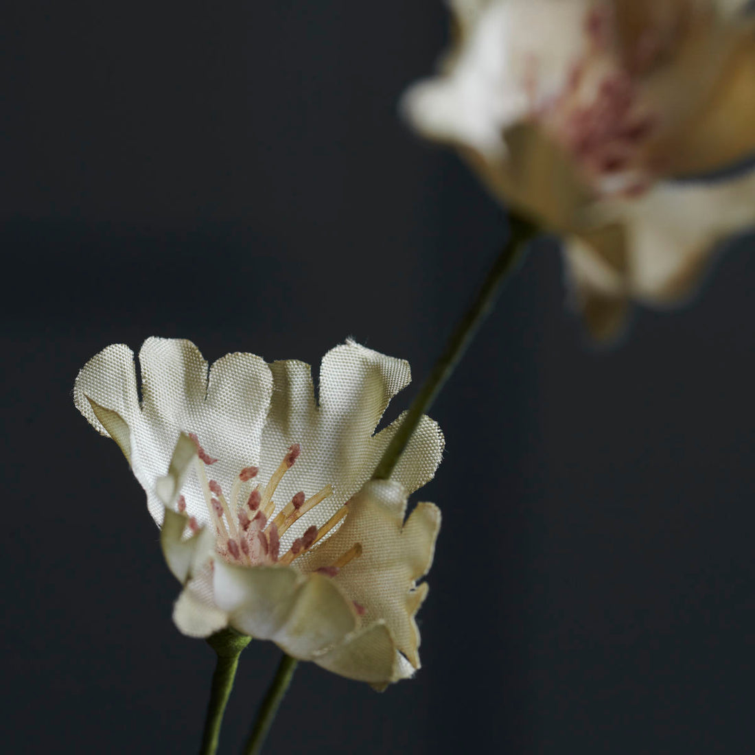 Huslege - Blomst, vill, beige - L: 70 cm