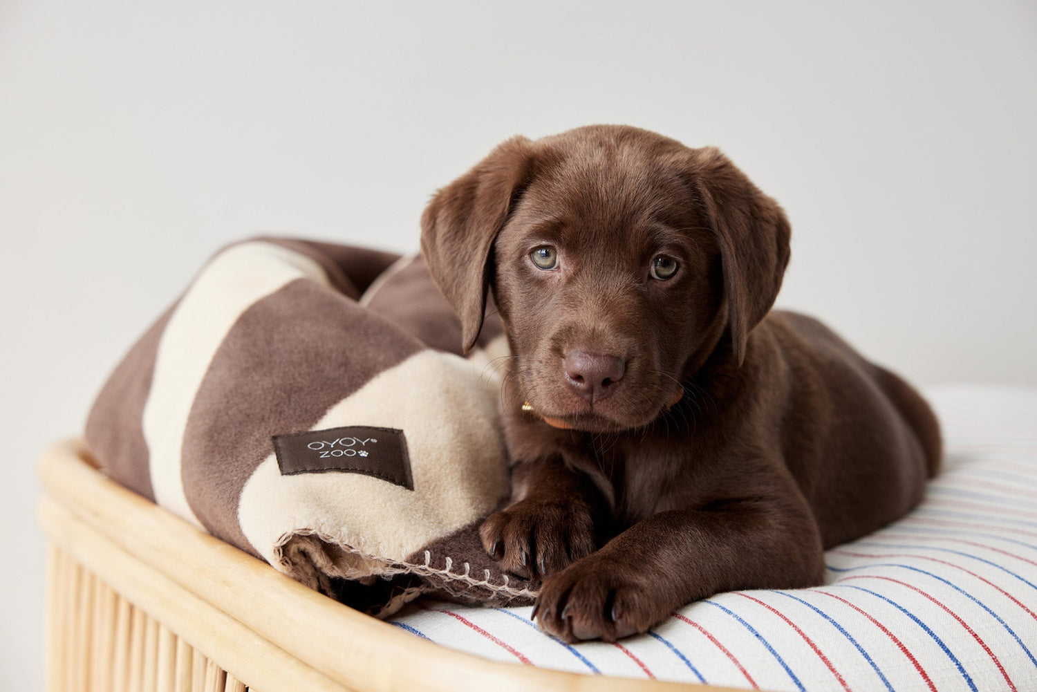 Oyoy Zoo Kaya Dog Blanket - STOR