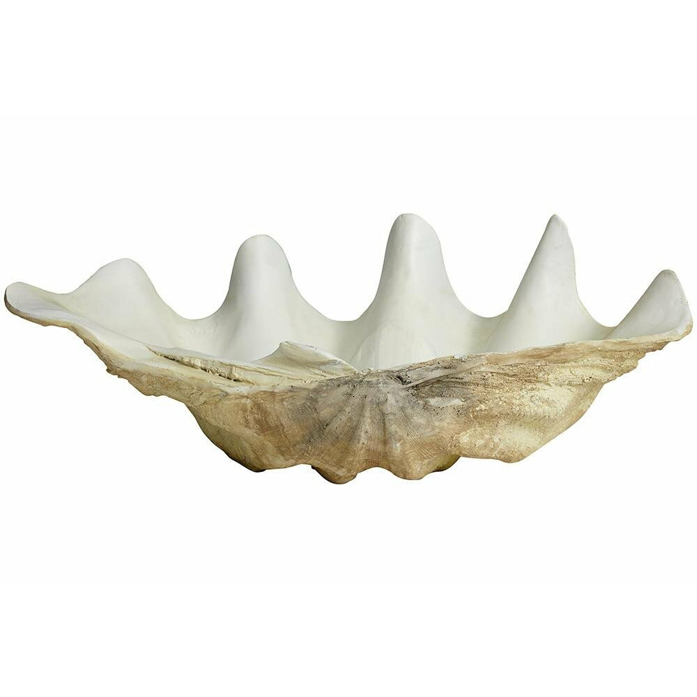 Nordal Kichi Mussel Shell for dekorasjon - stor - L52 cm - hvit/beige